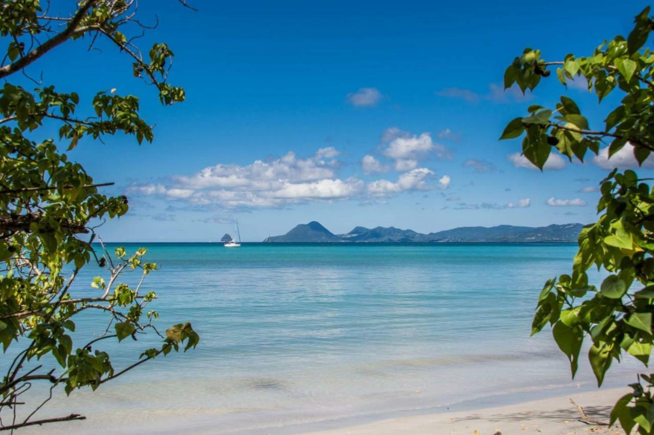 Studio A Louer Proche Des Plages Leilighet Sainte-Anne Eksteriør bilde