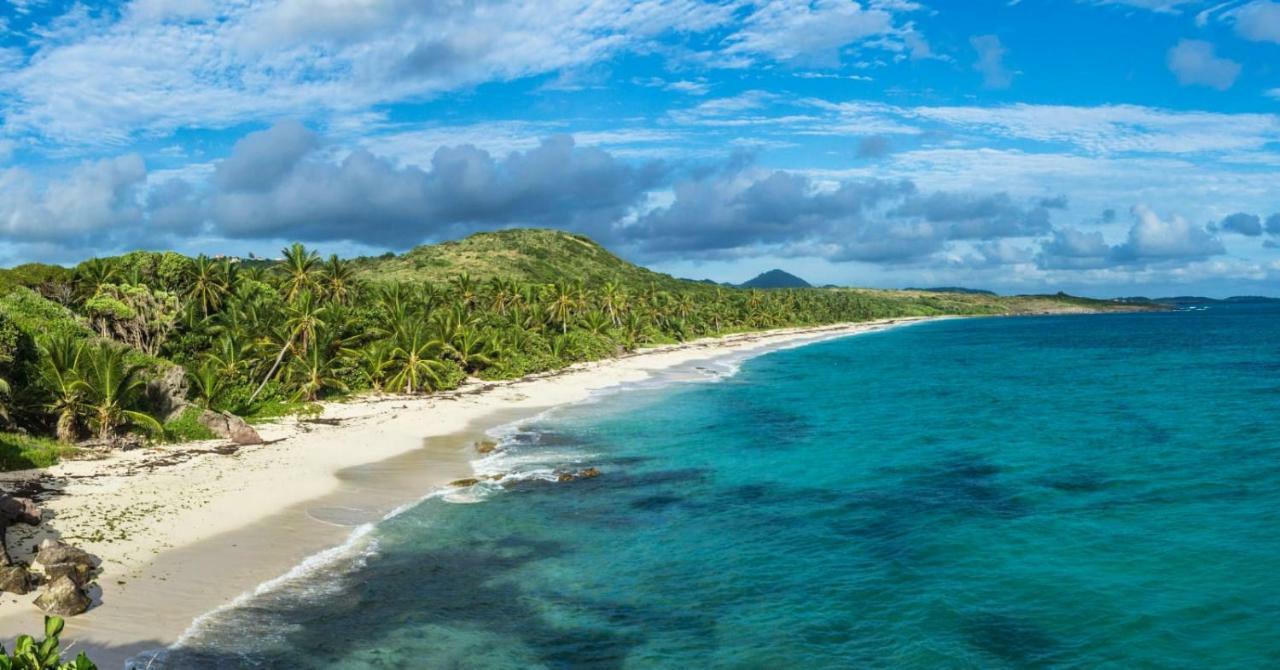 Studio A Louer Proche Des Plages Leilighet Sainte-Anne Eksteriør bilde
